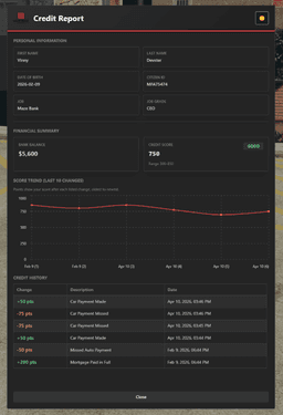Credit Report System